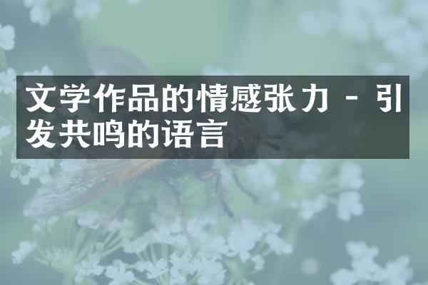 文学作品的情感张力 - 引发共鸣的语言