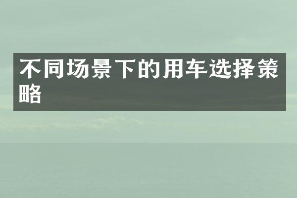 不同场景下的用车选择策略