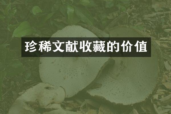 珍稀文献收藏的价值