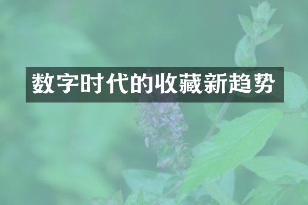 数字时代的收藏新趋势