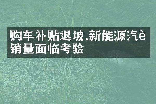 购车补贴退坡,新能源汽车销量面临考验