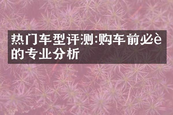 热门车型评测:购车前必读的专业分析