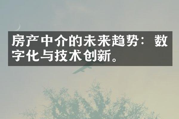 房产中介的未来趋势：数字化与技术创新。