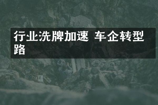 行业洗牌加速 车企转型之路