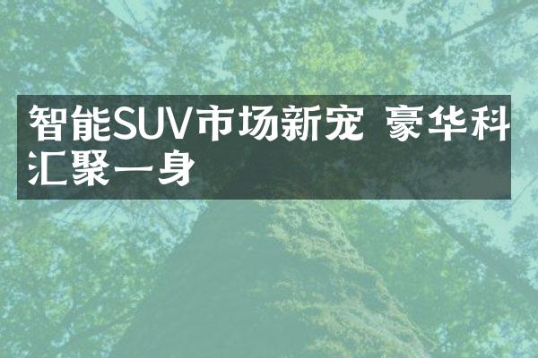 智能SUV市场新宠 豪华科技汇聚一身