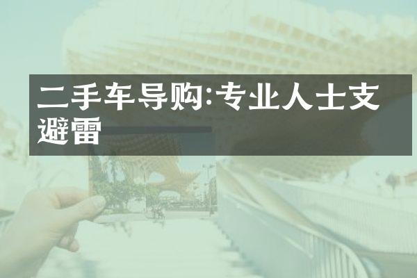 二手车导购:专业人士支招避雷