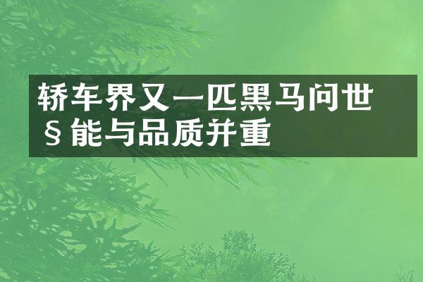 轿车界又一匹黑马问世 性能与品质并重