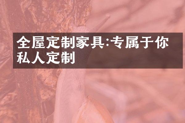 全屋定制家具:专属于你的私人定制