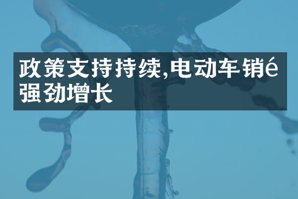 政策支持持续,电动车销量强劲增长