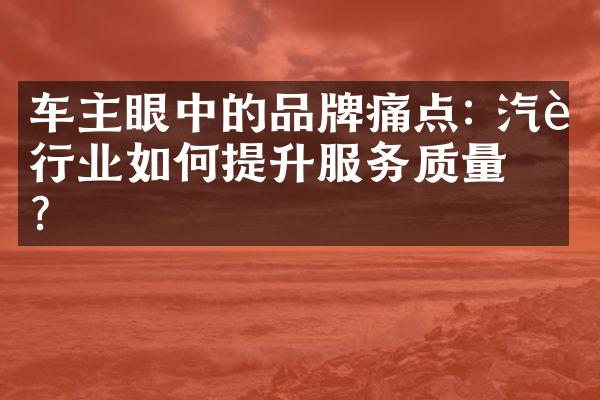 车主眼中的品牌痛点: 汽车行业如何提升服务质量？