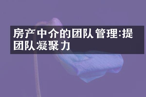 房产中介的团队管理:提升团队凝聚力