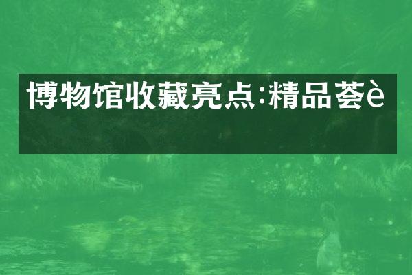 博物馆收藏亮点:精品荟萃