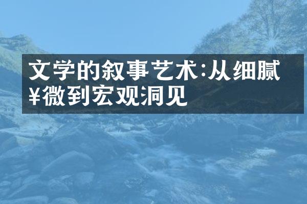 文学的叙事艺术:从细腻入微到宏观洞见