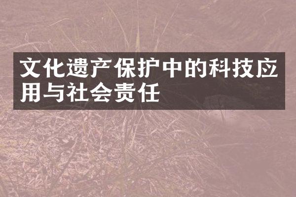 文化遗产保护中的科技应用与社会责任