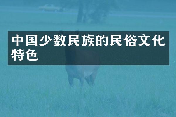 中国少数民族的民俗文化特色