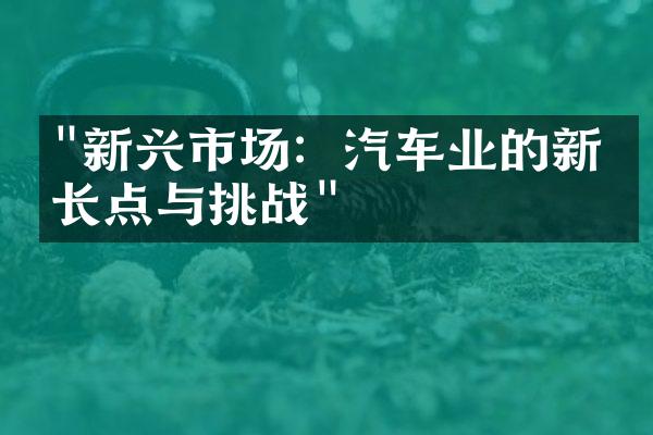 "新兴市场：汽车业的新增长点与挑战"