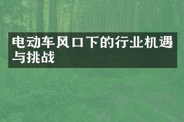 电动车风口下的行业机遇与挑战