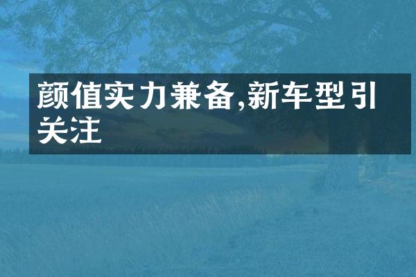 颜值实力兼备,新车型引爆关注