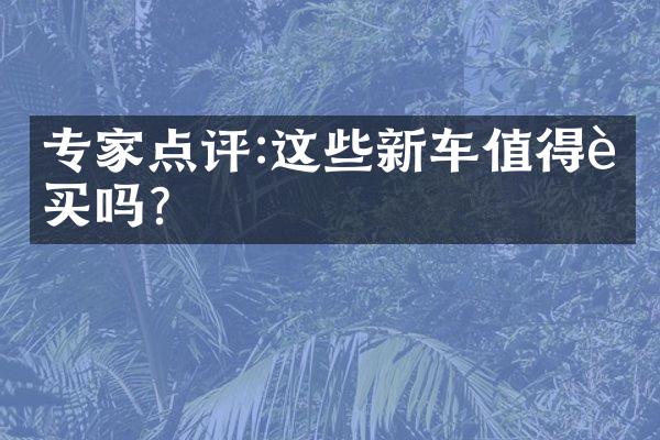 专家点评:这些新车值得购买吗?