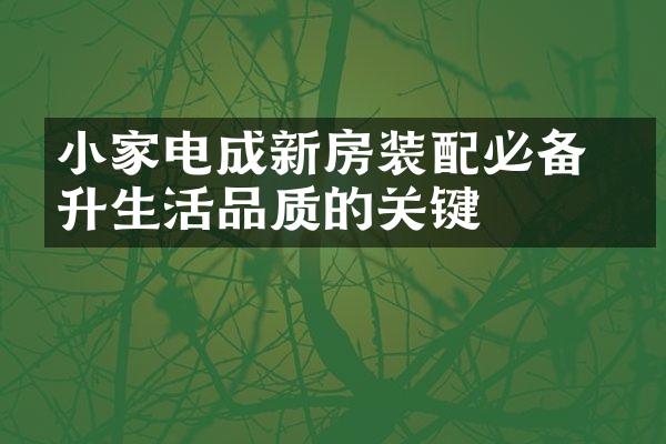 小家电成新房装配必备 提升生活品质的关键