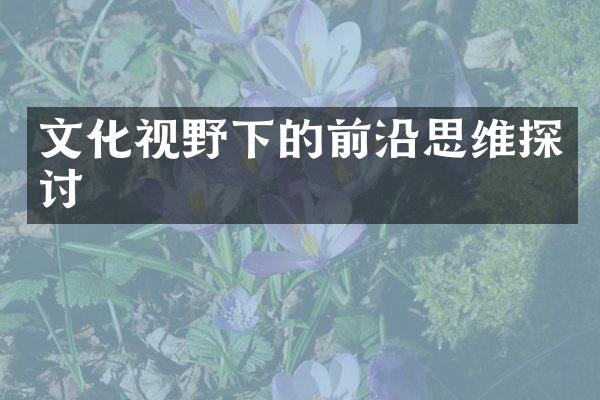 文化视野下的前沿思维探讨