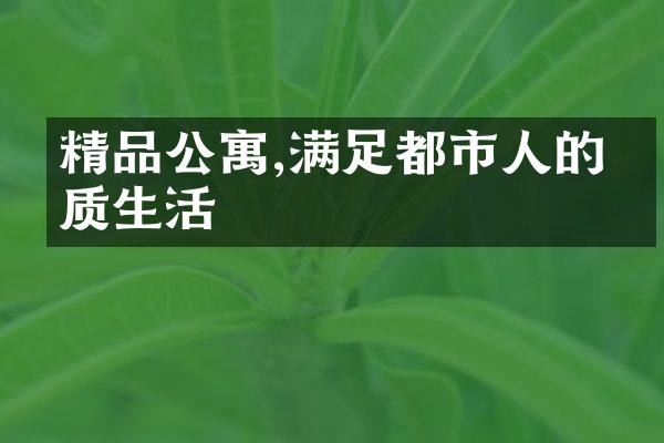 精品公寓,满足都市人的品质生活