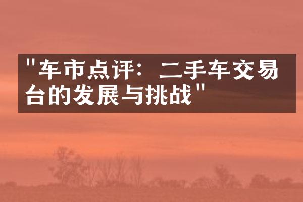 "车市点评：二手车交易平台的发展与挑战"