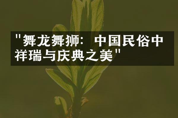 "舞龙舞狮：中国民俗中的祥瑞与庆典之美"