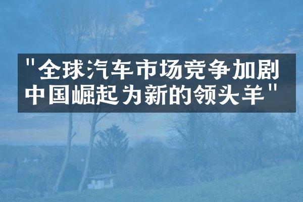 "全球汽车市场竞争加剧：中国崛起为新的领头羊"