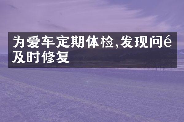 为爱车定期体检,发现问题及时修复