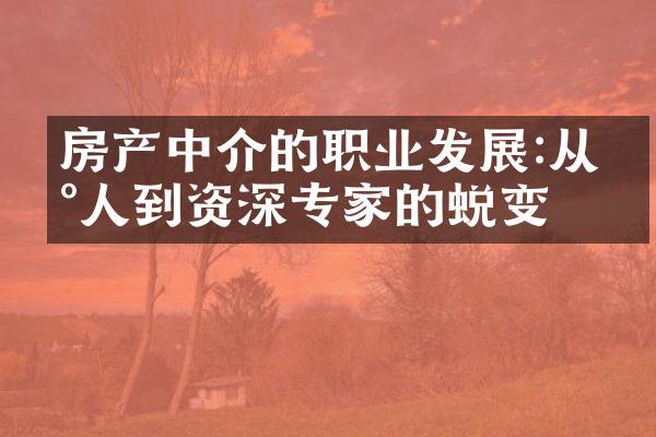 房产中介的职业发展:从新人到资深专家的蜕变