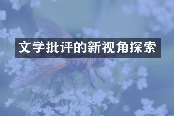 文学批评的新视角探索