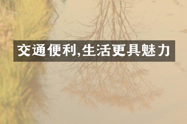 交通便利,生活更具魅力