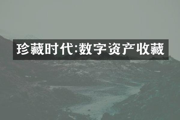 珍藏时代:数字资产收藏