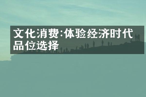 文化消费:体验经济时代的品位选择