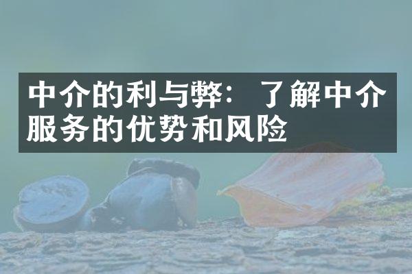 中介的利与弊：了解中介服务的优势和风险