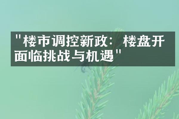 "楼市调控新政：楼盘开发面临挑战与机遇"