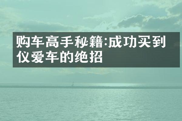 购车高手秘籍:成功买到心仪爱车的绝招