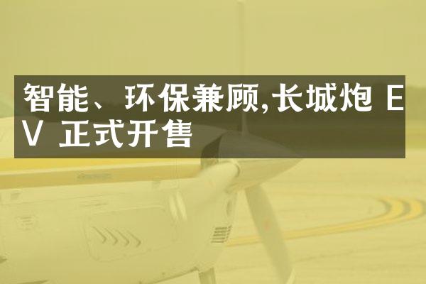 智能、环保兼顾,长城炮 EV 正式开售