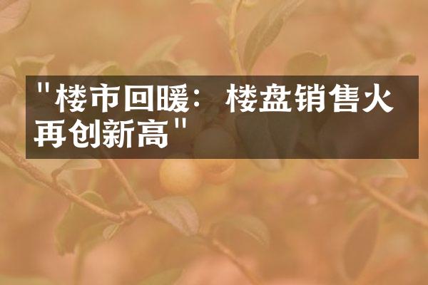 "楼市回暖：楼盘销售火爆再创新高"