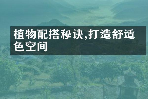 植物配搭秘诀,打造舒适绿色空间