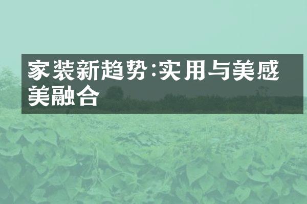 家装新趋势:实用与美感完美融合