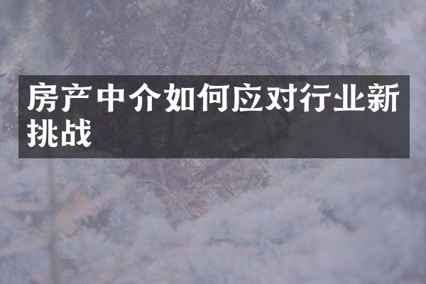 房产中介如何应对行业新挑战