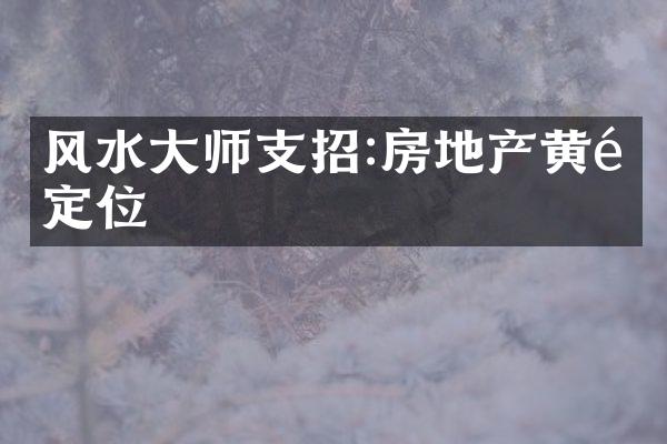 风水大师支招:房地产黄金定位