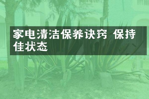 家电清洁保养诀窍 保持最佳状态