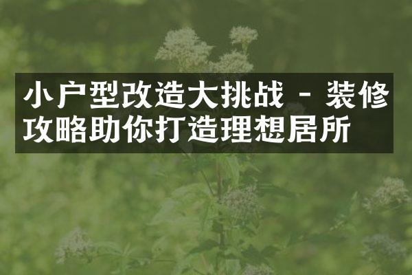 小户型改造大挑战 - 装修攻略助你打造理想居所