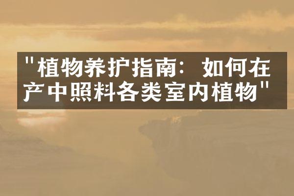 "植物养护指南：如何在房产中照料各类室内植物"