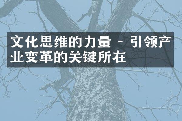 文化思维的力量 - 引领产业变革的关键所在