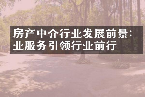 房产中介行业发展前景:专业服务引领行业前行