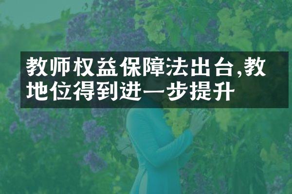 教师权益保障法出台,教师地位得到进一步提升